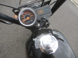 �z���_�S�����i�������o�_�s�j�摜5