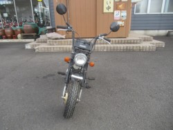 �z���_�S�����i�������o�_�s�j�摜6