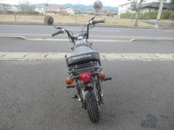 �z���_�S�����i�������o�_�s�j�摜7