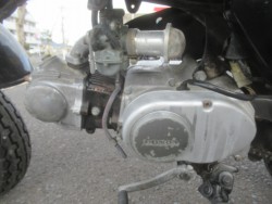 �z���_�S�����i�������o�_�s�j�摜8