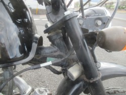 �z���_�S�����i�������o�_�s�j�摜10