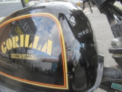 �z���_�S�����i�������o�_�s�j�摜11