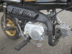 �z���_�S�����i�������o�_�s�j�摜12