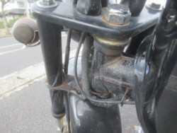 �z���_�S�����i�������o�_�s�j�摜13