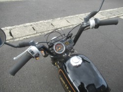 �z���_�S�����i�������o�_�s�j�摜14