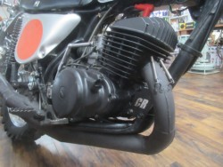 �z���_�G���V�m�A250�i�������o�_�s�j�摜12