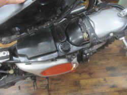�z���_�G���V�m�A250�i�������o�_�s�j�摜17