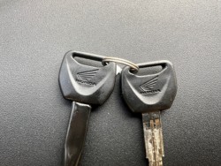 �z���_���u��250�i���Q�������s�j�摜29