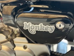 �z���_�����L�[125�i���Q�������s�j�摜25