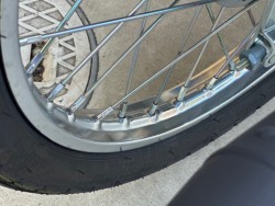�z���_�X�[�p�[�J�u50�i���Q�������s�j�摜19