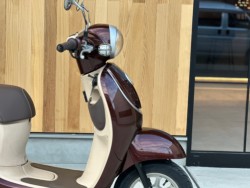 �z���_�W�����m�i���Q�������s�j�摜2