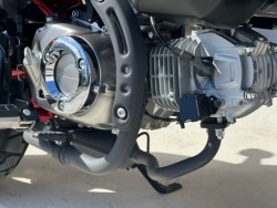 �z���_�����L�[125�i���Q�������s�j�摜24