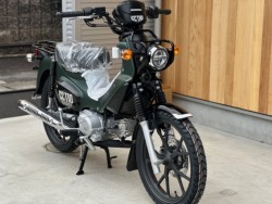 �z���_�N���X�J�u110�i���Q�������s�j�摜4