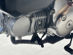 �z���_�����L�[125�i���Q�������s�j�摜25