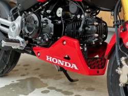 �z���_�O�����i���Q�������s�j�摜8