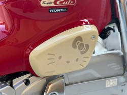 �z���_�X�[�p�[�J�u50�i���Q�������s�j�摜21