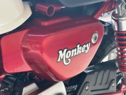 �z���_�����L�[125�i���Q�������s�j�摜26