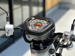 �z���_�N���X�J�u50�i���Q�������s�j�摜13