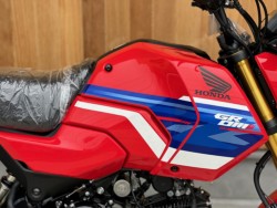 �z���_�O�����i���Q�������s�j�摜9