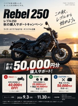 �z���_���u��250�i���Q�������s�j�摜2