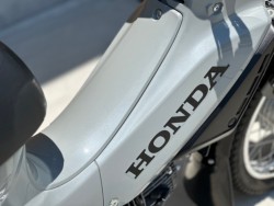 �z���_�N���X�J�u50�i���Q�������s�j�摜15