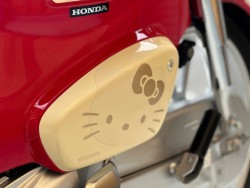 �z���_�X�[�p�[�J�u110�i���Q�������s�j�摜20
