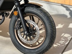 �z���_���u��250�i���Q�������s�j�摜7