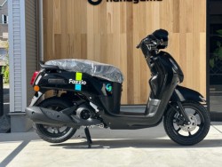 ���}�n&nbsp;Fazzio 