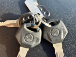 ���}�nMT-25�i���Q�������s�j�摜33