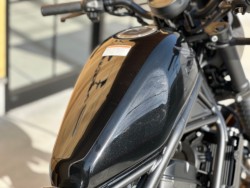 �z���_���u��250�i���Q�������s�j�摜9