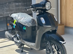 ���}�nFazzio�i���Q�������s�j�摜3