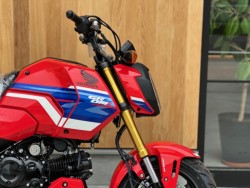 �z���_�O�����i���Q�������s�j�摜2