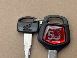 �z���_�X�[�p�[�J�u110�i���Q�������s�j�摜23