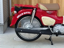 �z���_�X�[�p�[�J�u50�i���Q�������s�j�摜3