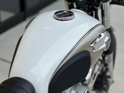 �J���T�LW800�i���Q�������s�j�摜25