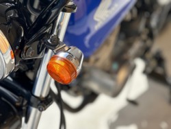 �z���_�G�C�v50�i���Q�������s�j�摜8