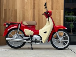 �z���_&nbsp;�X�[�p�[�J�u110 