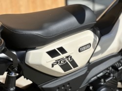 ���}�nPG-1�i���Q�������s�j�摜17