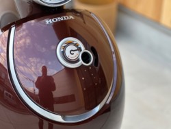 �z���_�W�����m�i���Q�������s�j�摜11