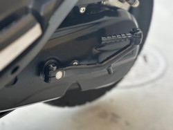 �X�Y�L�A�h���X125�i���Q�������s�j�摜21