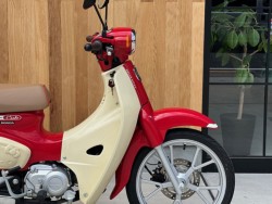 �z���_�X�[�p�[�J�u110�i���Q�������s�j�摜2