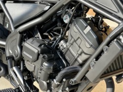 �z���_���u��250�i���Q�������s�j�摜12