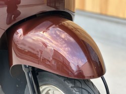 �z���_�W�����m�i���Q�������s�j�摜12