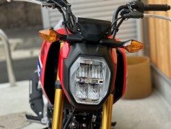 �z���_�O�����i���Q�������s�j�摜5