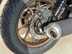 �z���_���u��250�i���Q�������s�j�摜13