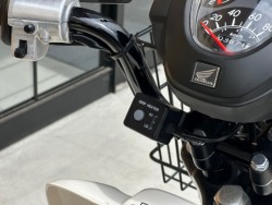 �z���_�X�[�p�[�J�u110�v���i���Q�������s�j�摜14