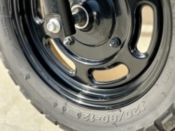 �z���_�G�C�v50�i���Q�������s�j�摜14