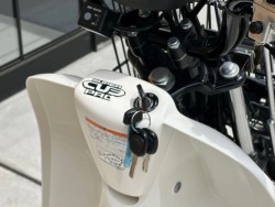 �z���_�X�[�p�[�J�u110�v���i���Q�������s�j�摜15