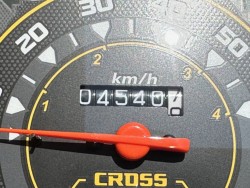 �z���_�N���X�J�u50�i���Q�������s�j�摜26