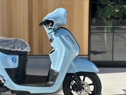 ���}�nFazzio�i���Q�������s�j�摜2